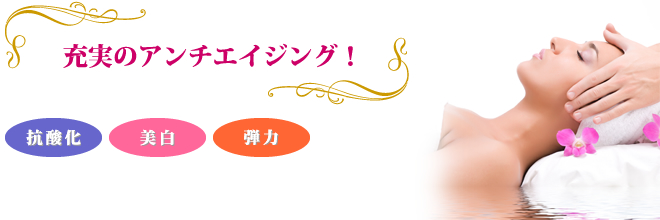 プラチナコース 120分 \13,500-