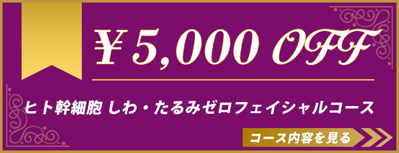 ヒト幹細胞 しわ・たるみゼロフェイシャルコース フェイシャルエステキャンペーン￥5,000割引