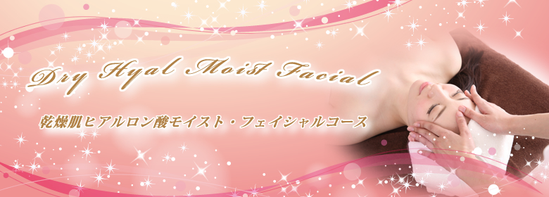 乾燥肌ヒアルロン酸モイスト・フェイシャルリフト