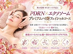 PDRN×エクソソーム プレミアムハリ艶フェイシャルコース