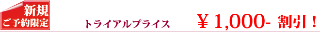 DNAエイジングケア・フェイシャルコース
