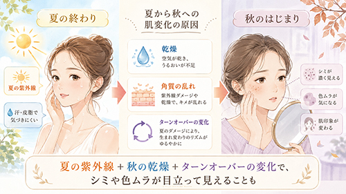 秋のはじまりに感じやすいシミと肌印象の変化