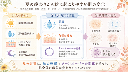 夏の終わりから秋に起こりやすい肌の変化