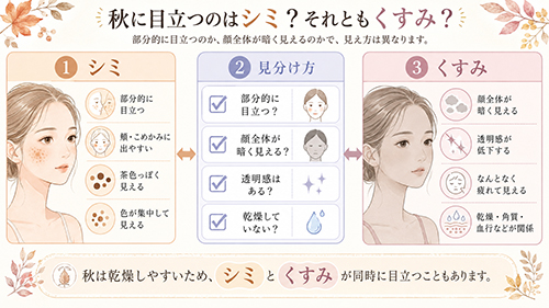 秋に目立つのはシミ?それともくすみ?