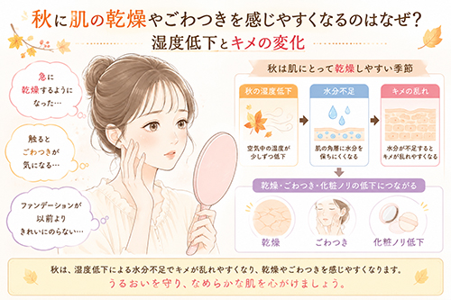 秋に肌の乾燥やごわつきを感じやすくなるのはなぜ?湿度低下とキメの変化