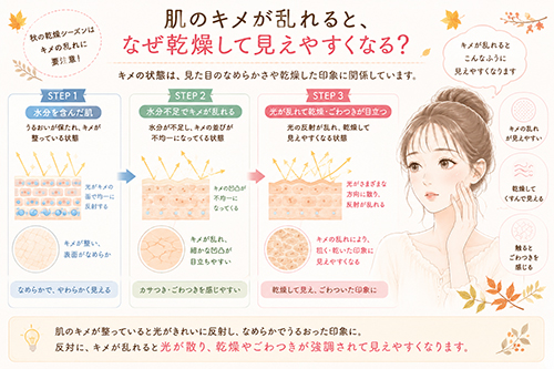 肌のキメが乱れると、なぜ乾燥して見えやすくなる?