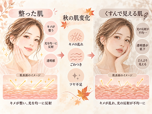 秋になると肌が暗く見えるのは、肌表面の変化が関係しています