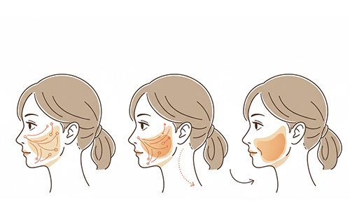 顔がたるむとフェイスラインはなぜぼやける？