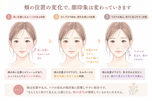頬の位置やハリが変わると、なぜ顔印象まで変わって見える?