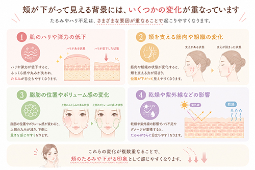 頬が下がって見える原因はひとつではありません