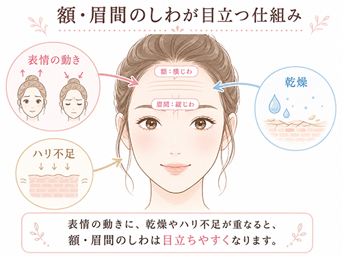 額・眉間のしわは乾燥やハリ不足が重なると目立ちやすくなる