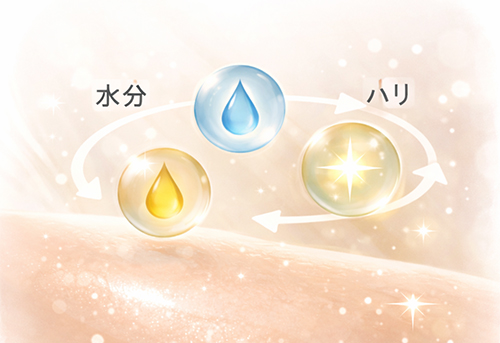 毛穴の見え方を整えるために大切な考え方