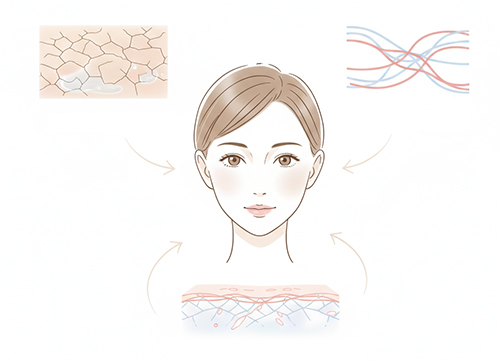 乾燥や血行、バリア機能の変化から考える、肌のゆらぎの原因と整え方