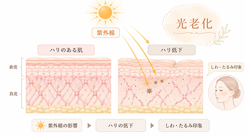 紫外線による光老化とは？年齢による変化との違い